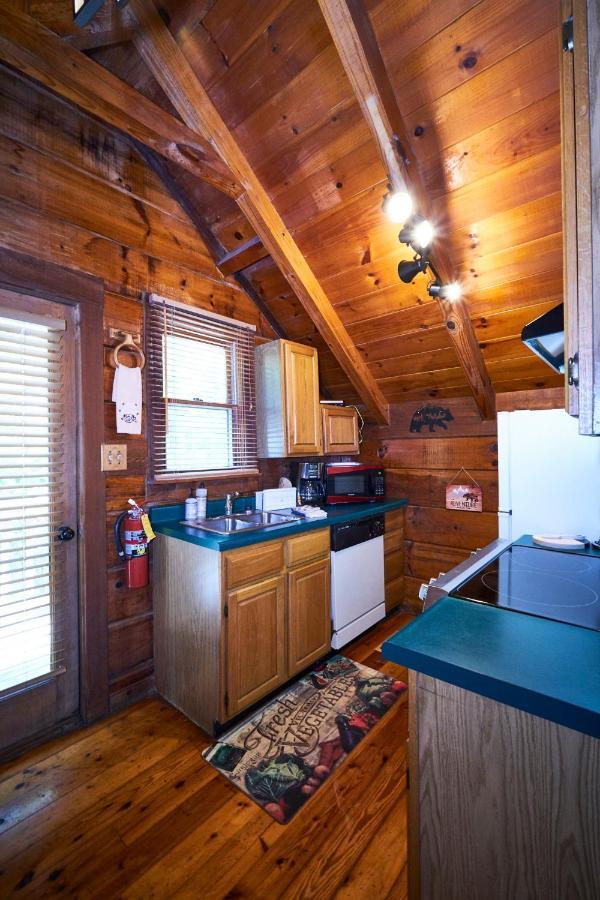 Gatlinburg Area Hottub Cabin - Ladyslipper Sevierville Eksteriør billede