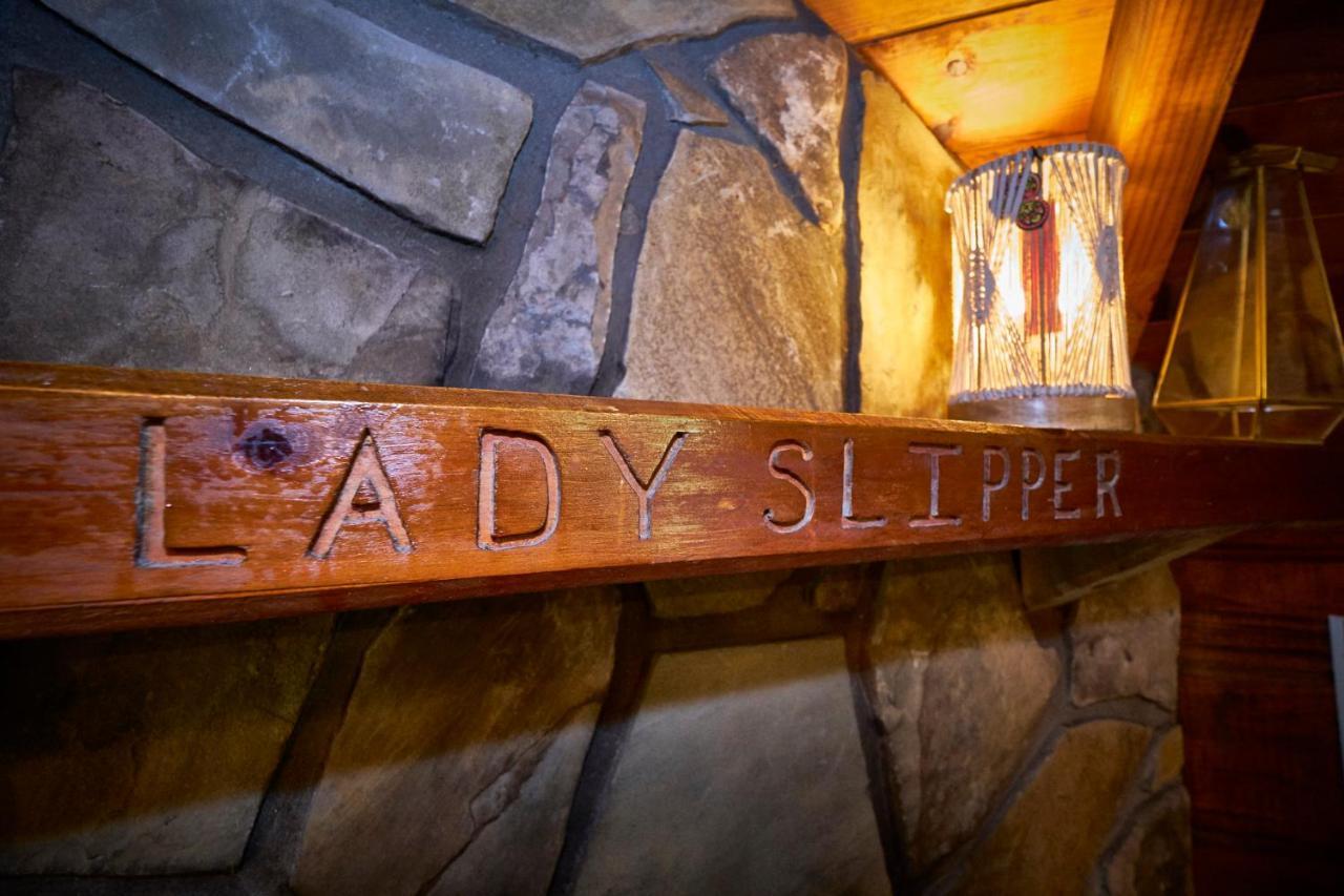 Gatlinburg Area Hottub Cabin - Ladyslipper Sevierville Eksteriør billede